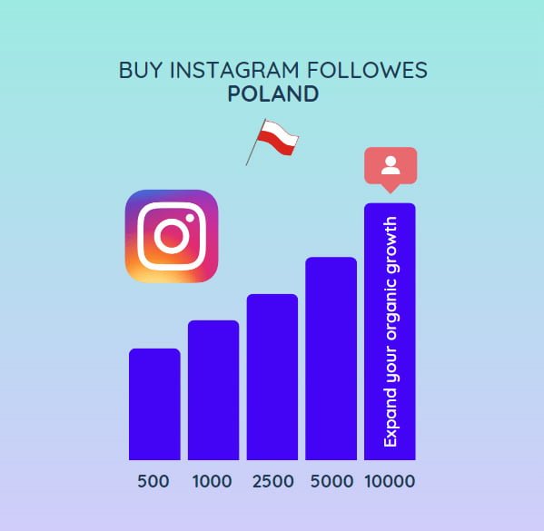 how to buy Instagram followers